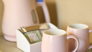 レディースフロアモデレートルーム禁煙 (14平米)