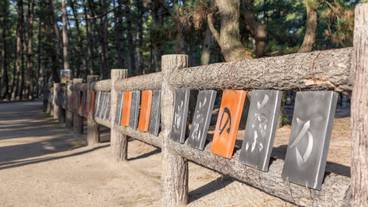 慶野松原 万葉の甍道 / 6