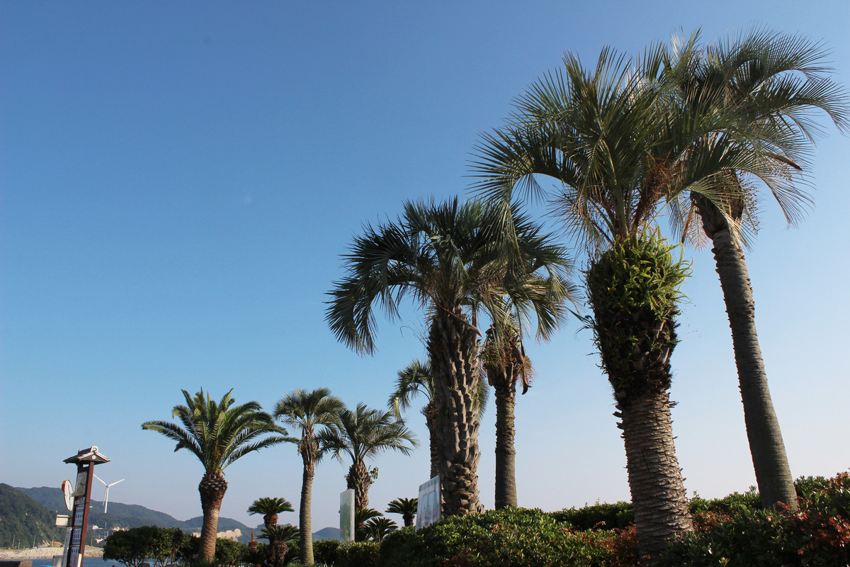 阿万海岸海水浴場