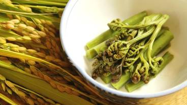 レストラン / 21