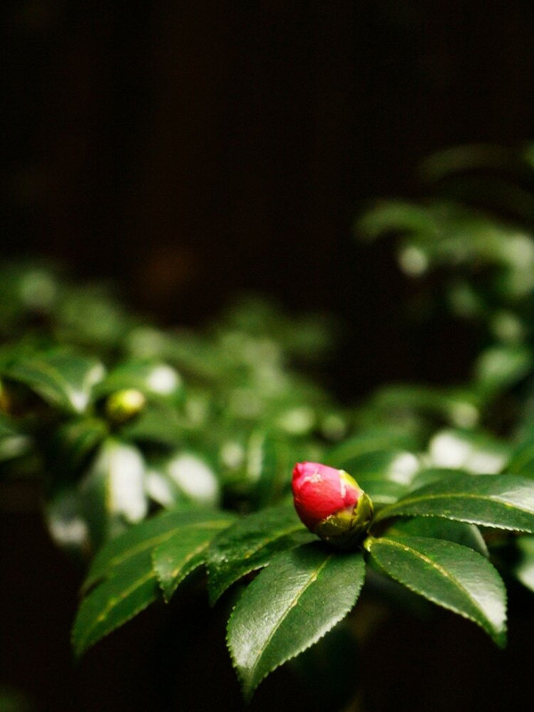 施設からの眺望