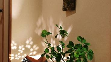 内装の詳細 / 18