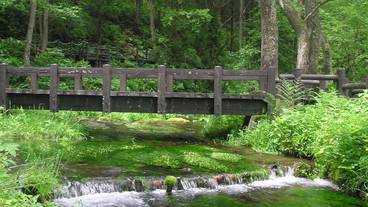 姫川源流自然探勝園 / 2