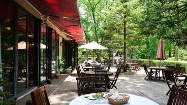 テラス / パティオ / 29