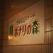 磐梯名湯リゾート ボナリの森(福島県 旅館) / 3