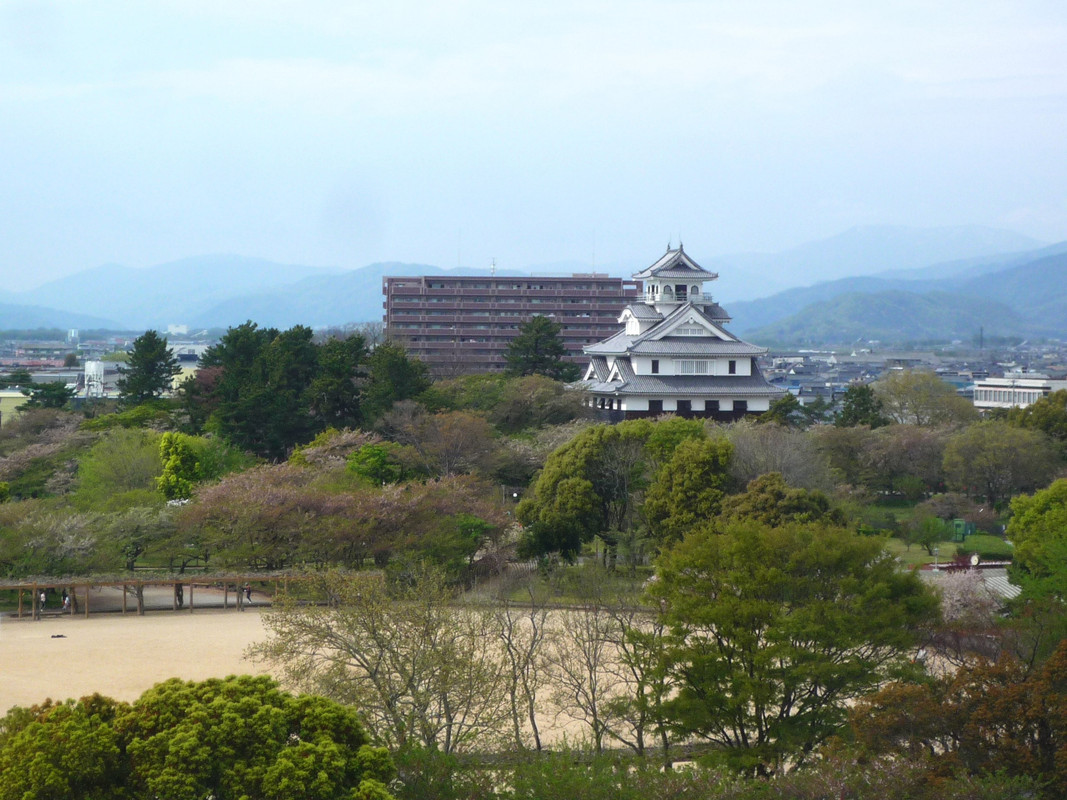豊公園のキャッスルビュー