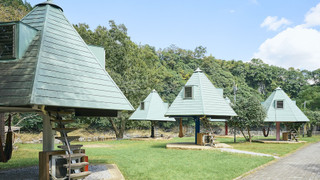 ツリー型ハウス（ツイン）