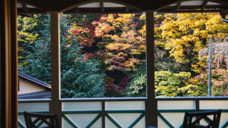 サウナ·温泉付きプレミアムスイート 心楽502 (禁煙)