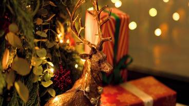 施設の正面 / 11