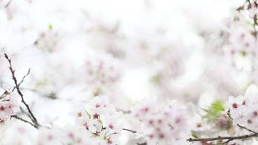 施設からの眺望 / 13