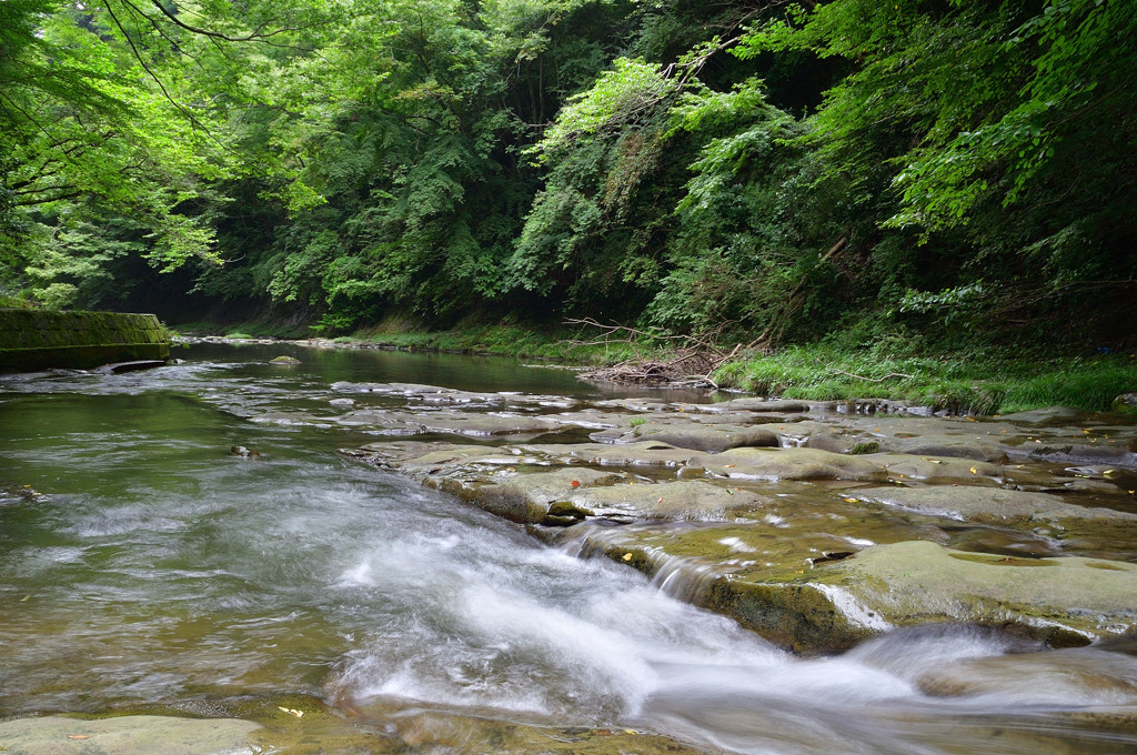 養老渓谷で日々の疲れを洗い流そう♪3444288