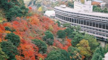 施設からの眺望 / 26