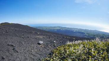 施設からの眺望 / 17