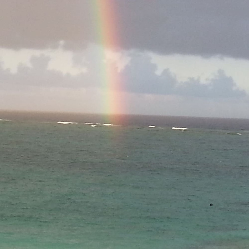 施設からの眺望