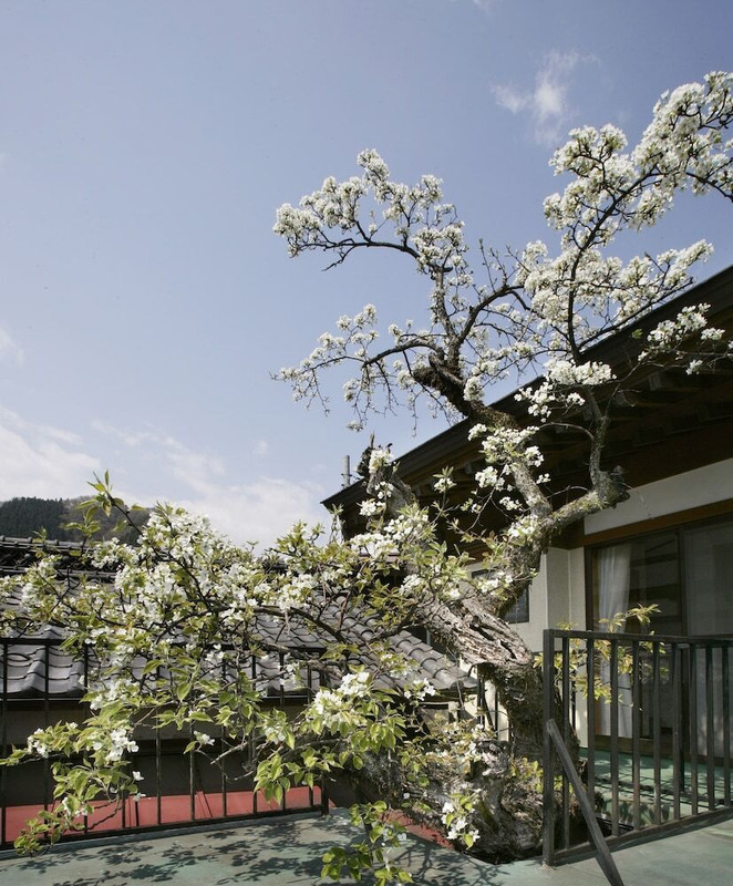 施設からの眺望