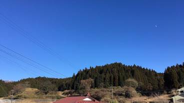 施設からの眺望 / 29