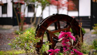 デラックス 和洋室 母屋GR12  ※ベジタリアンの食事変更はできません