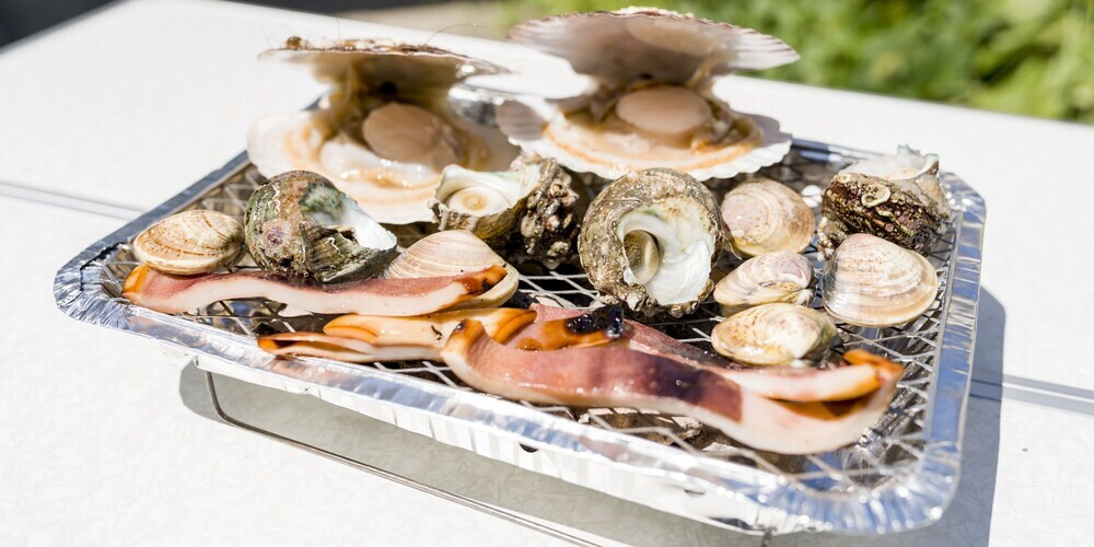 バーベキュー / ピクニック エリア