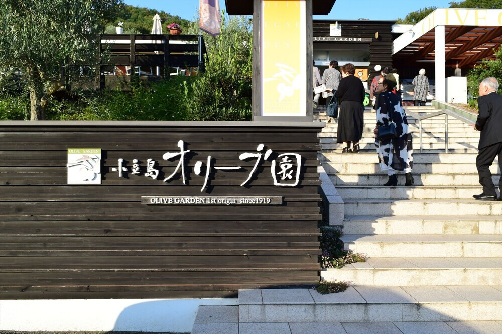 子供用の遊び場 - 屋外