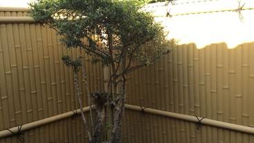 部屋からの景観 / 17