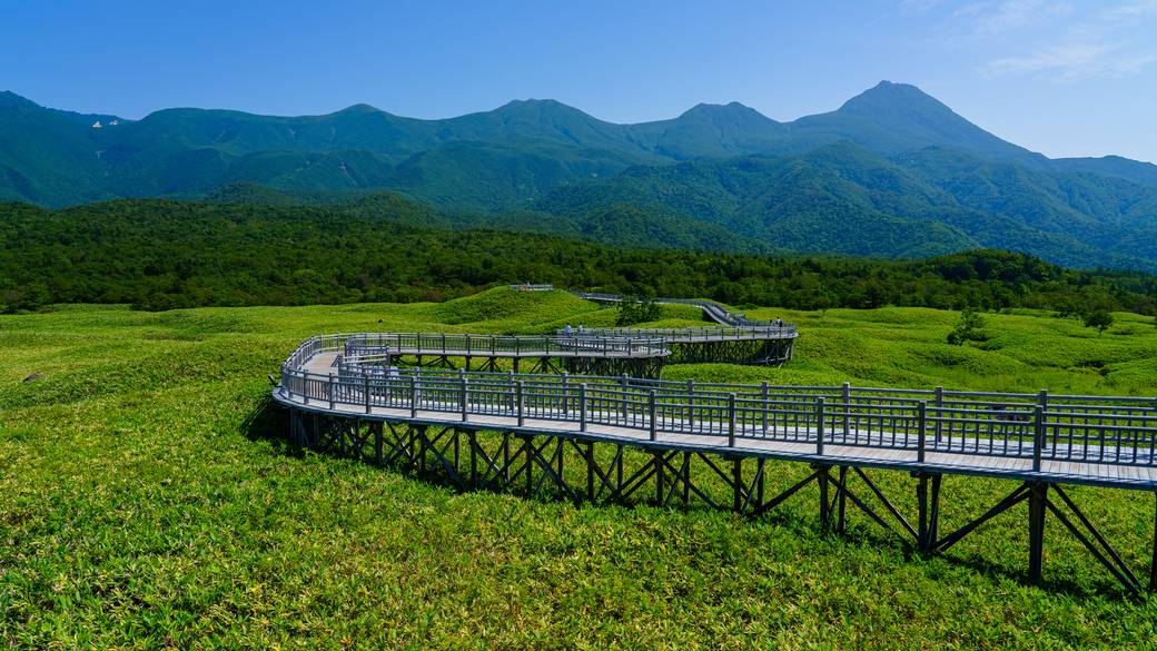 知床五湖の高架木道 / 2