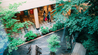 アジアオリエンタル (1)