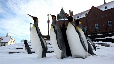 施設からの眺望 / 5