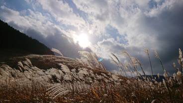 シティ ビュー / 27