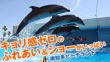 観光スポット / 11