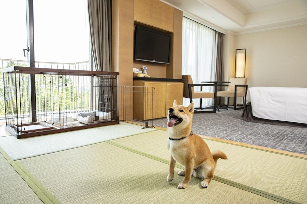 ドッグ フレンドリールーム