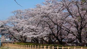 施設からの眺望 / 26