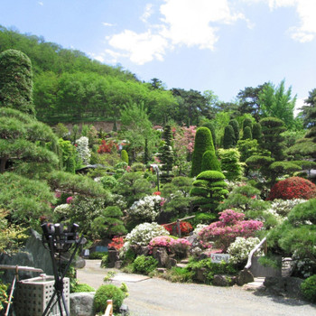 5. 日本庭園を眺めてほっこり。贅沢なひと時を「割烹旅館 桃山」3445327