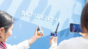 観光スポット / 14