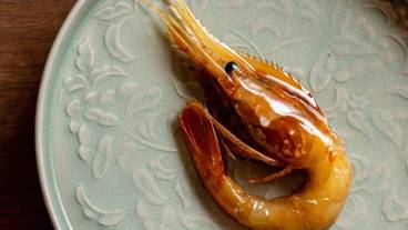 レストラン / 13