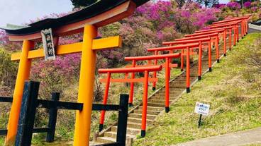 観光スポット / 10