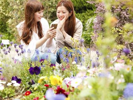 湯元こんぴら温泉華の湯 紅梅亭 / 5