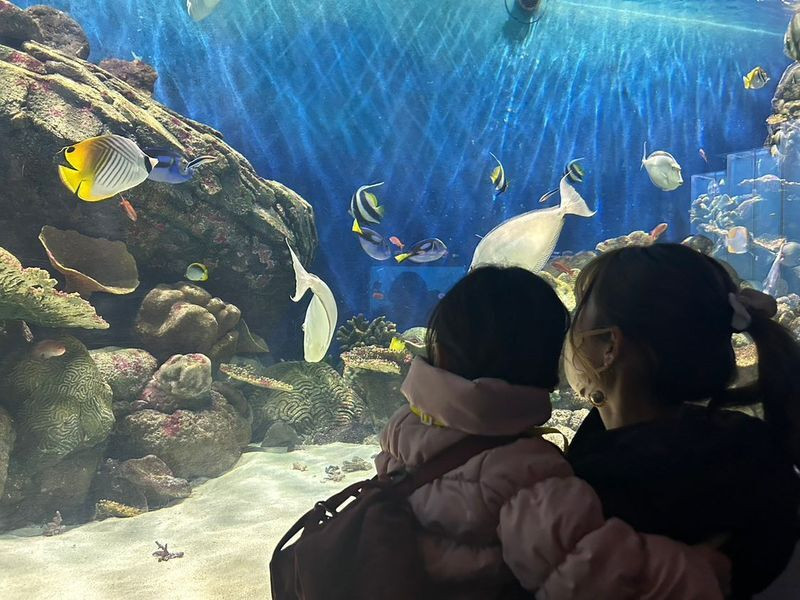 「城崎マリンワールド」は海の生物との距離も近く、ダイナミックな展示が楽しめる / 1