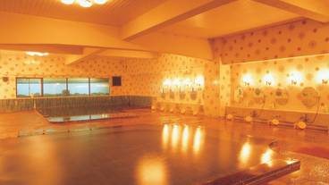 美肌の湯 花桐 / 3