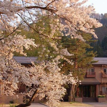 おふたりさま専用の宿『すみれ』の特徴3670674