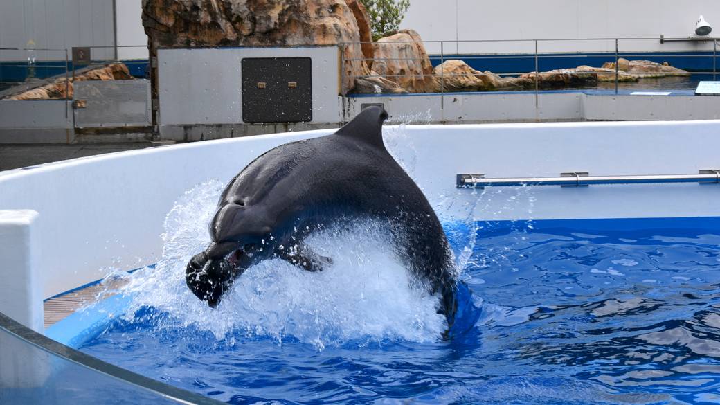 九十九島水族館海きらら / 3