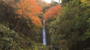 観光スポット / 1