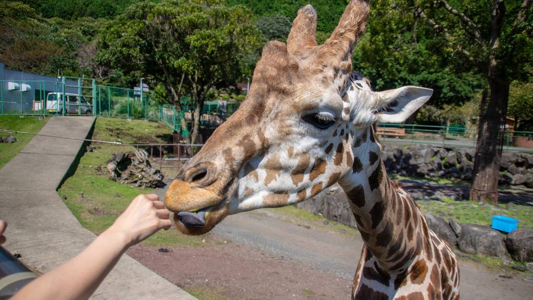 観光を楽しみながら
家族旅行スタート♪ / 2
