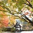 黒川温泉 旅館 奥の湯