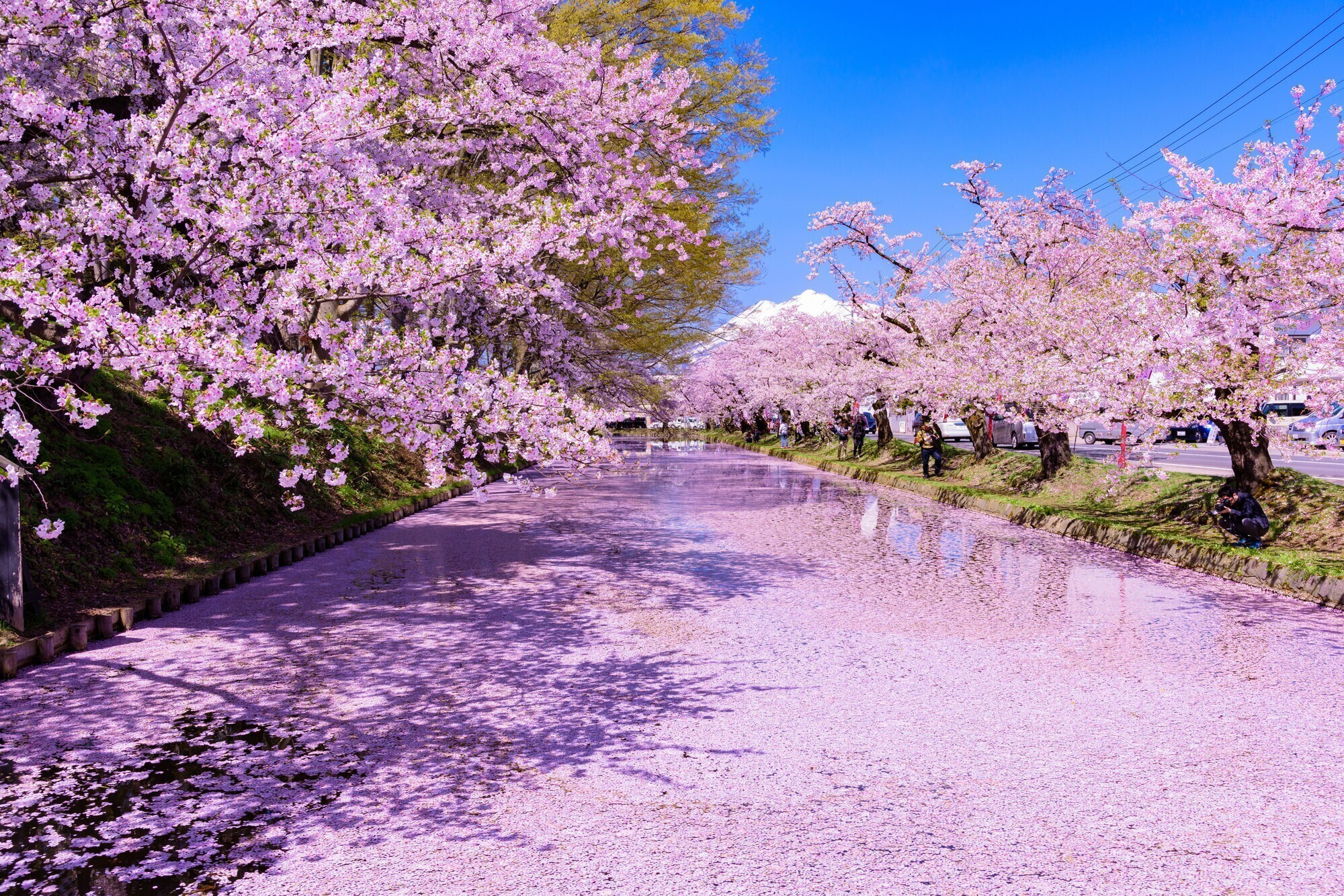 弘前市周辺 心はなやぐ春の青森へ 女子旅におすすめの観光スポット カフェ7選 Icotto イコット