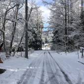 ペンション＆コテージ サンセットイン（長野県 コテージ・ロッジ・一棟貸） / 3