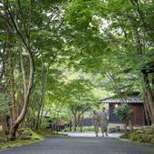 由布院温泉 おやど 二本の葦束（大分県 旅館） / 2