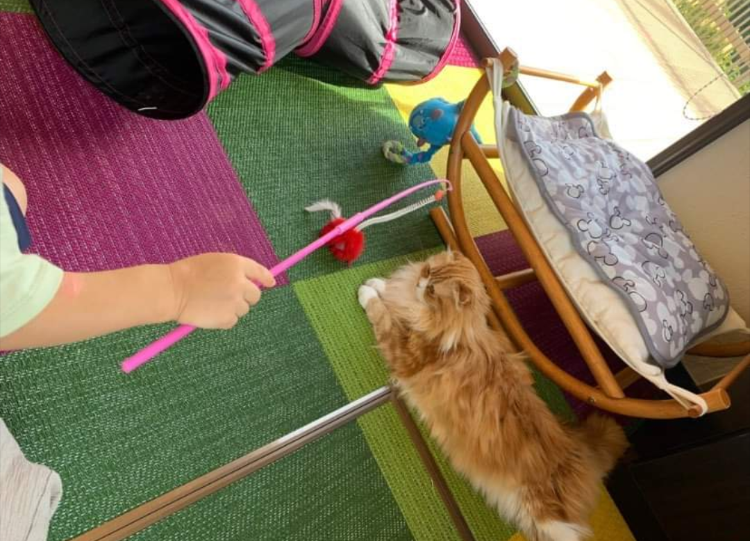 rintaku__さんの写真 / 1