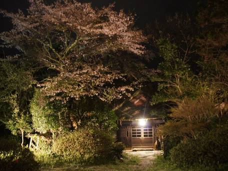 由布院温泉 由布院ことぶき 花の庄 / 4
