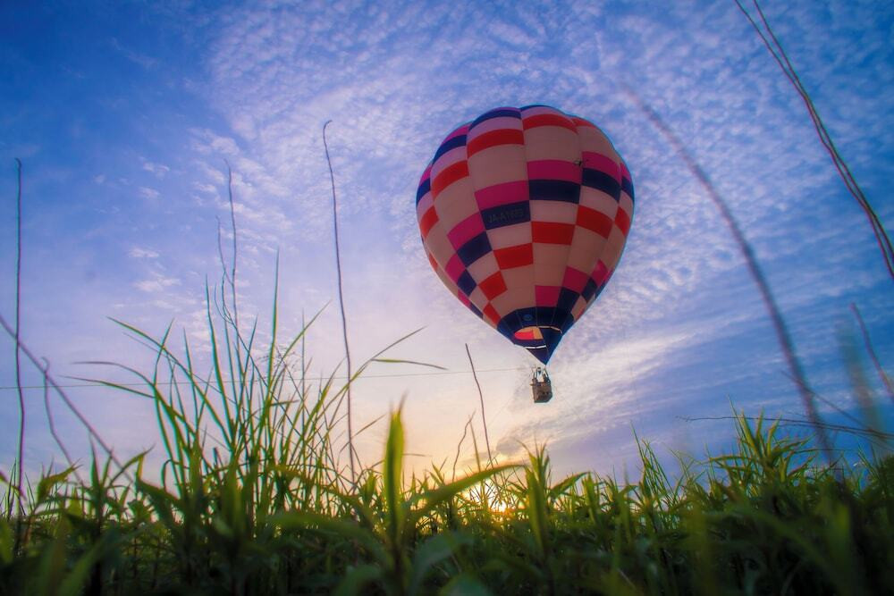 施設からの眺望