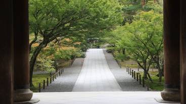 観光スポット / 13